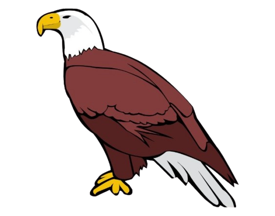 Eagle Scout Project