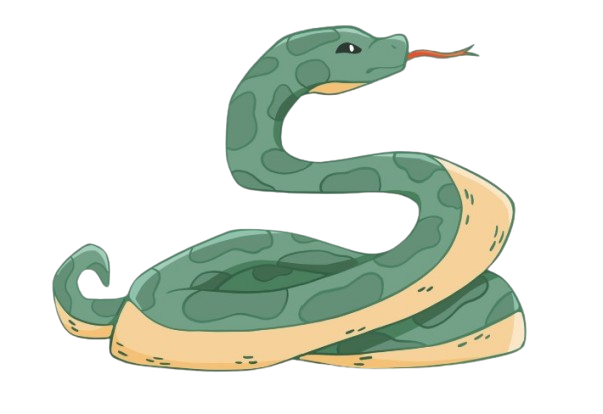 Python